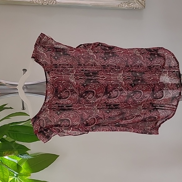 Top small prune - Picture 3 of 3